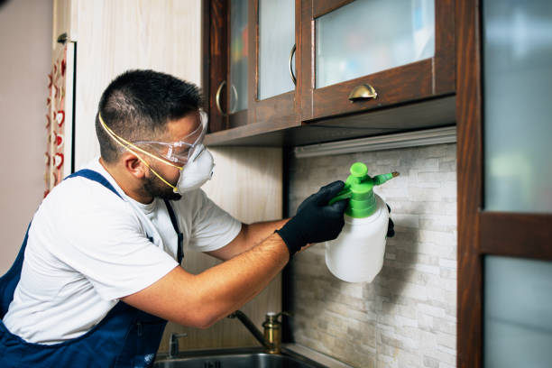 Best Pest Prevention Services  in Thorsby, AL