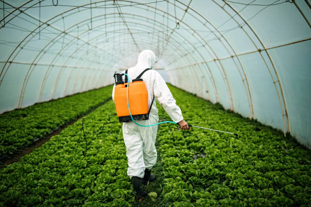 Best Pest Removal Services  in Thorsby, AL