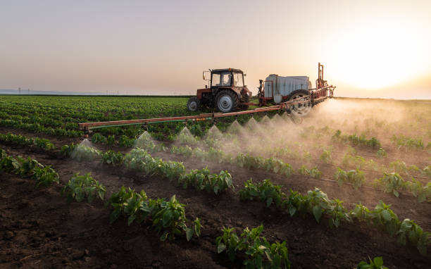 Pest Control for Restaurants in Thorsby, AL