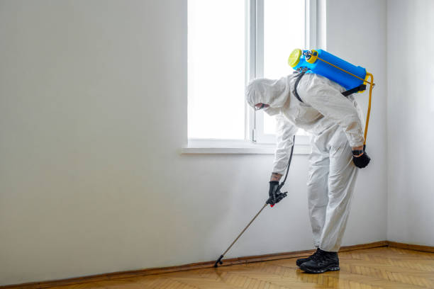 Best Commercial Pest Control Services  in Thorsby, AL
