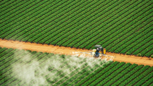 Best Pest Control Near Me in Thorsby, AL