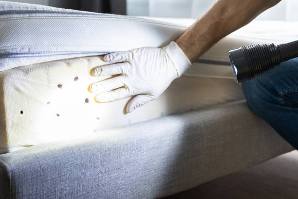 Best Best Pest Control Companies  in Thorsby, AL