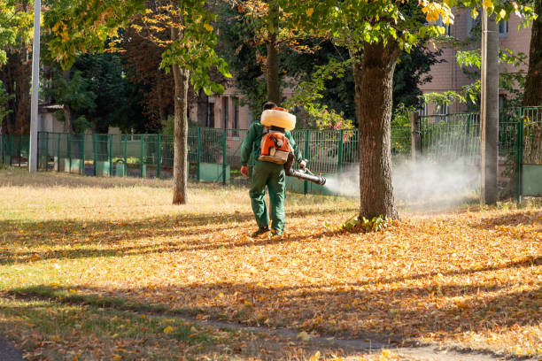 Best Affordable Pest Control Services  in Thorsby, AL