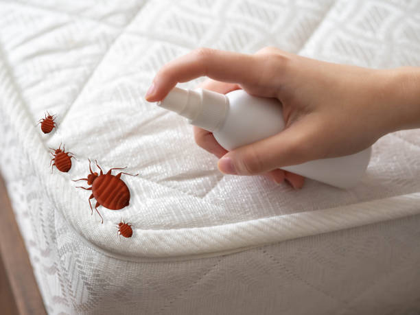 Best Insect Control  in Thorsby, AL