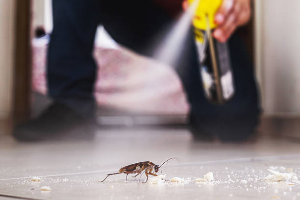 Best Cockroach Control Services  in Thorsby, AL