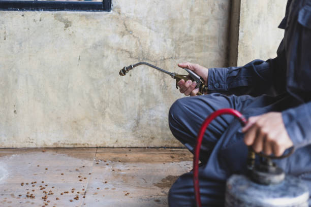 Best Exterminator Services  in Thorsby, AL