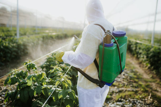Best Rat Extermination Near Me  in Thorsby, AL
